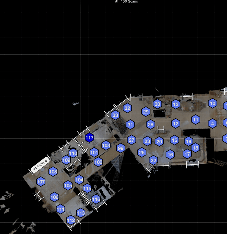 Bird's-eye view of the Crescent Hill custom home scan showing 100 scan positions as blue dots across the home